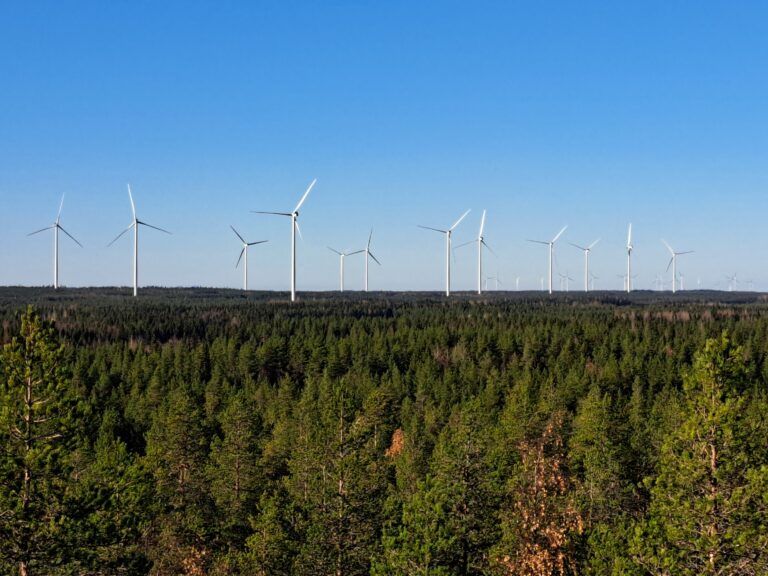 Miljardin Pyhäjärveltä löytyy rooli yrityksellesi!